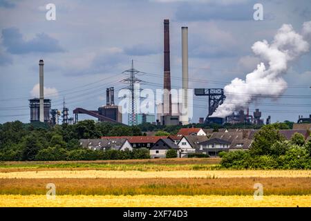 Hüttenwerke Krupp-Mannesmann, HKM in Duisburg-Hüttenheim, 2 Hochöfen, Kokerei, Wohnhäuser in Duisburg-Mündelheim, Löschwolke der Kokerei, NRW, Deutschland, HKM Stahlwerk *** Hüttenwerke Krupp Mannesmann, HKM Duisburg Hüttenheim, 2 Hochöfen, Kokerei, Wohngebäude Duisburg München, Löschwolke der Kokerei, NRW, Deutschland, HKM Stahlwerk Stockfoto