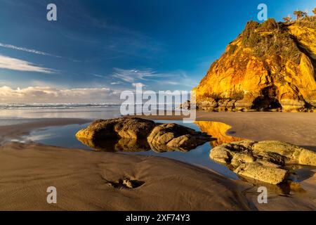 Klippen und Höhlen am Hug Point in der Nähe von Cannon Beach, Oregon, USA. Stockfoto