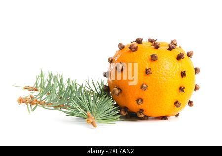 Pomanderkugel und Weihnachtsbaumzweige auf weißem Hintergrund Stockfoto
