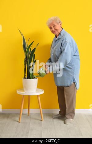 Ältere Blumenbewässerungsanlage in der Nähe der gelben Wand Stockfoto