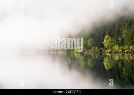 USA, Washington State, Olympic National Park, Crescent Lake. Nebel verdeckt einen Teil des Crescent Lake. Stockfoto