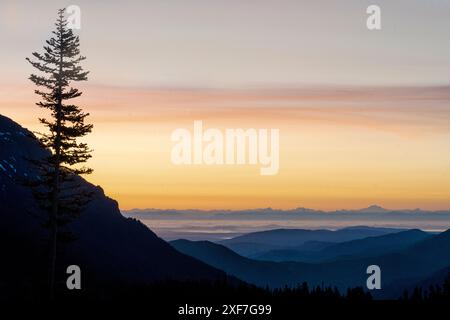 USA, Washington State, Olympic National Park. Blick von Hurricane Ridge vor Sonnenaufgang mit einem Baum im Vordergrund. Stockfoto