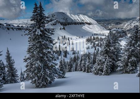 USA, Wyoming. Landschaft hinter dem Fred's Mountain, Grand Targhee Ski Resort nach Neuschnee. Stockfoto