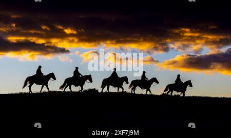 USA, Wyoming, Shell. Hideout Ranch, Big Horn Mountain Range Stockfoto