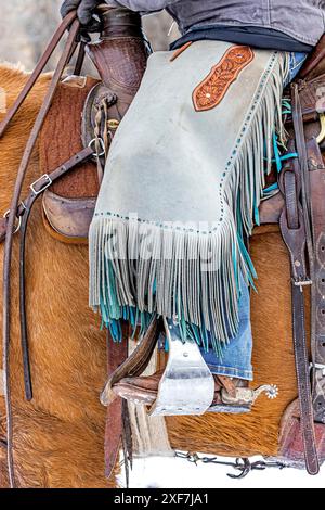 USA, Wyoming, Shell. Hideout Ranch, Big Horn Mountain Range Stockfoto