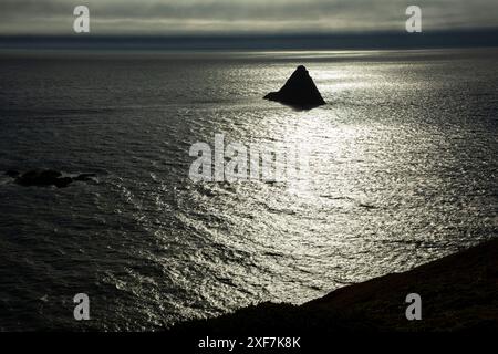 Klooqueh Rock vom Headland Trail, Port Orford Heads State Park, Oregon Stockfoto
