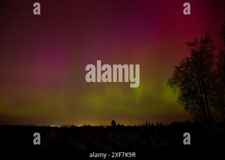 Northern Lights, Marion County, Oregon Stockfoto