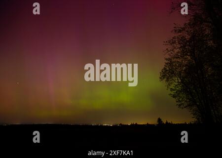 Northern Lights, Marion County, Oregon Stockfoto