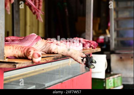 Begeben Sie sich auf ein kulinarisches Abenteuer durch taiwanesische Schweinestände, die eine Fülle an frischen Schweinepillen, Knöcheln und Schnitten zeigen. Stockfoto