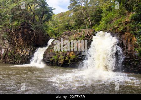 Der rasende Strom bei Twin fällt auf maui. Stockfoto