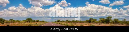 Weite Sicht auf die Autobahn, afrikanische Landschaft Outback Panorama, Akazienbäume Stockfoto