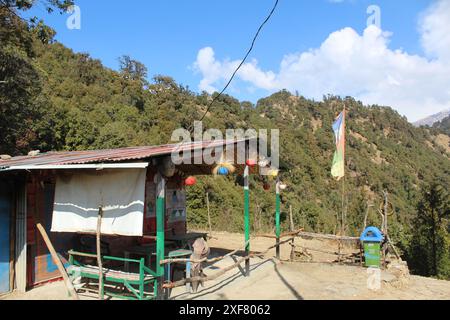 Eine rustikale Berghütte umgeben von üppig grünen Wäldern unter einem klaren blauen Himmel. Stockfoto