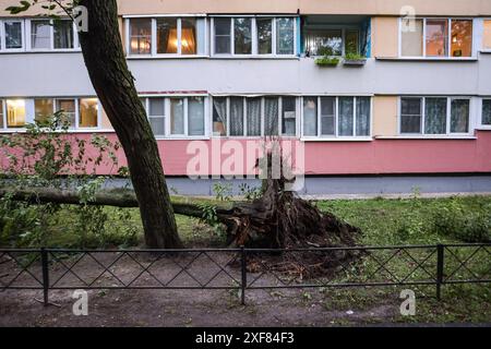 Die Folgen eines Hurrikans in Form von umgefallenen Bäumen, die auf der Partizan-Straße in der Nähe von Haus 26 aus dem Boden entwurzelt sind. Ein mächtiger Hurrikan bedeckte mehrere Bezirke von St. Petersburg gleichzeitig. Im Bezirk Newski stürzte ein Baukran aufgrund eines Hurrikans. Im Stadtteil Krasnoselski, in der Partizan-Straße, in der Nähe von Haus 26, wurden nacheinander Bäume aus dem Boden gerissen. Der Gouverneur von St. Petersburg Beglov forderte die Bewohner von St. Petersburg auf, wegen Gewittern und Hurrikanen zu Hause zu bleiben. Mindestens ein Hurrikanopfer wurde in St. Petersburg gemeldet. (Foto von Artem Priak Stockfoto