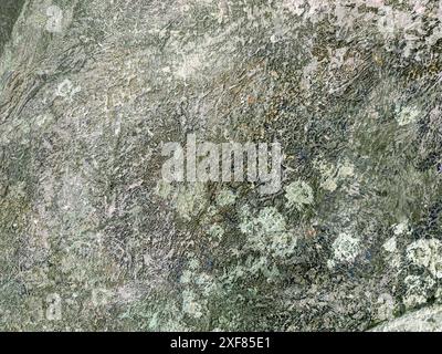 Künstlerischer abstrakter Hintergrund mit Acrylfarbe Nahaufnahme. Stockfoto