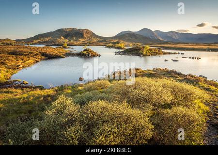 Geographie / Reise, Großbritannien, Schottland, Lochan na h-Achlaise im Abendlicht, Rannoch Moor, ADDITIONAL-RIGHTS-CLEARANCE-INFO-NOT-AVAILABLE Stockfoto