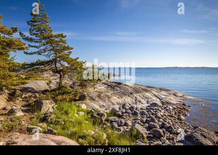 Geografie / Reise, Schweden, Küste der Insel Sandhamn, Provinz Stockholms Iaen, ADDITIONAL-RIGHTS-CLEARANCE-INFO-NOT-AVAILABLE Stockfoto