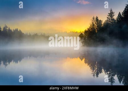 Geographie / Reise, Sonnenaufgang mit Nebel über Etang de la Gruère im Kanton Jura, KEINE EXKLUSIVE VERWENDUNG FÜR FALTKARTEN-GRUSSKARTEN-POSTKARTEN-NUTZUNG Stockfoto