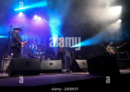 Rom, Italien. Juli 2024. Die Libertines treten während der Tour 2024 am 1. Juli 2024 im Villa Ada Estate 2024 in Rom auf. (Foto: Domenico Cippitelli/NurPhoto) Credit: NurPhoto SRL/Alamy Live News Stockfoto