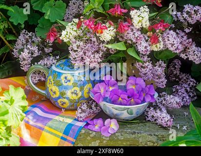 BOTANIK, FLIEDER, ADDITIONAL-RIGHTS-CLEARANCE-INFO-NOT-AVAILABLE Stockfoto