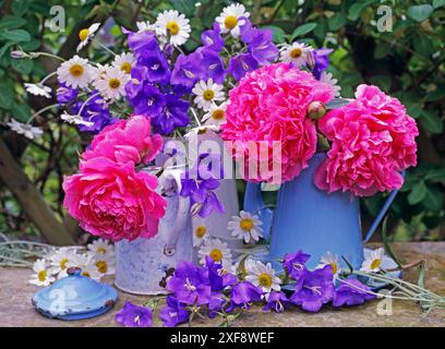 BOTANIK, ADDITIONAL-RIGHTS-CLEARANCE-INFO-NOT-AVAILABLE Stockfoto