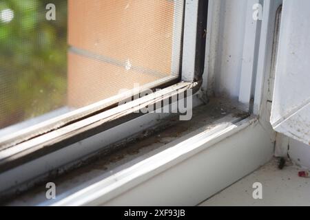 Eine dreckige Ecke aus UPVC-Fensterrahmen, die gereinigt werden muss. Ein Blick vom Innern des Hauses auf ein staubiges Fenster und Moskitonetz. Stockfoto