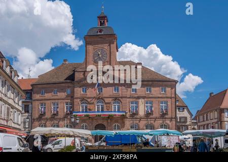 Historisches Rathaus mit Uhrenturm auf einem lebhaften Marktplatz an einem sonnigen Tag Stockfoto