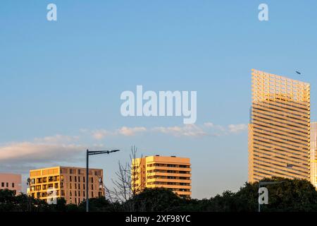 Verschiedene moderne Gebäude unter klarem Himmel mit Bäumen im Vordergrund bei Sonnenuntergang, Hospitalet de Llobregat, Barcelona, Katalonien, Spanien Stockfoto