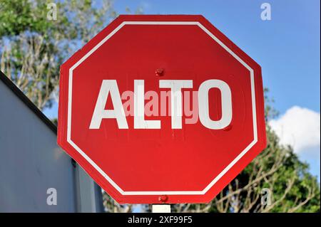 Rotes Stoppschild mit der Aufschrift „Alto“ vor einem bewaldeten Hintergrund, Mexiko, Merida, Yucatan, Zentralamerika Stockfoto