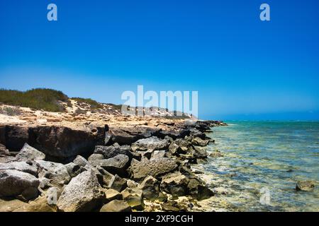 Die felsige Küste des Schnorchelgebiets Oyster Stacks, Teil des Ningaloo Reef, Cape Range National Park, Western Australia Stockfoto