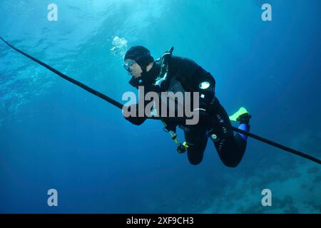 Taucher hält sich an einem Seil fest und schwimmt im blauen Unterwasser. Langsamer Abstieg entlang der Ankerlinie. Tauchplatz Punta Negra, Las Galletas, Teneriffa Stockfoto