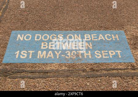 Keine Hunde am Strand vom 1. Mai bis 30. September, Felixstowe, Suffolk, England, Großbritannien Stockfoto