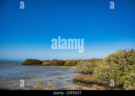 Die flache Küste des Vogelschutzgebiets Mangrove Bay im Cape Range National Park, Teil der Ningaloo Coast in Western Australia. Stockfoto