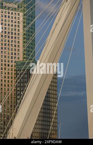 Nahaufnahme einer modernen Brücke mit Stahlseilen und Wolkenkratzern im Hintergrund, rotterdam, niederlande Stockfoto