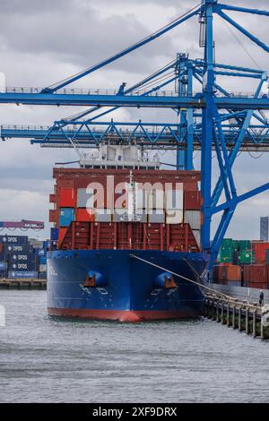 Ein großes Frachtschiff im Hafen, mit Containern beladen und von Kränen umgeben, rotterdam, niederlande Stockfoto