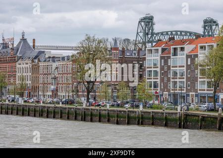 Reihe von Häusern und geparkten Autos entlang eines Hafens mit Bäumen, Rotterdam, Niederlande Stockfoto