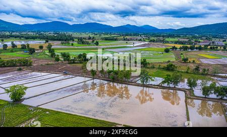 Luftaufnahme der Reisfelder, Nordosten, Thailand. Landwirtschaft in der Regenzeit. Reisfelder warten darauf, gepflanzt zu werden Stockfoto
