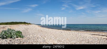 Kieselstrand an der Ostsee - Ostseeküste mit Kieselsteinen an einem natürlichen Strand Stockfoto