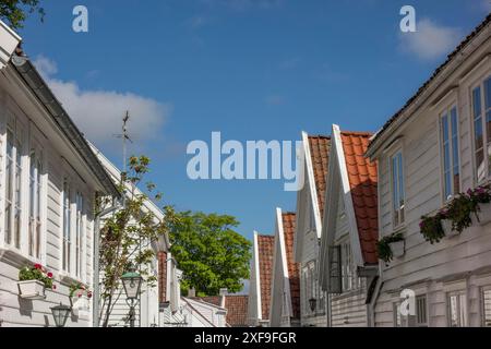 Eine enge Gasse mit weißen Häusern und Ziegeldächern, dekoriert mit Blumentöpfen unter blauem Himmel, stavanger, norwegen Stockfoto