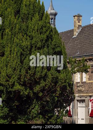 Historisches Gebäude mit Kirchturm, großen roten Rollläden und Nadelbäumen in der Nachbarschaft maastricht, niederlande Stockfoto