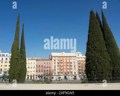 Hohe Zypressen vor einer Reihe klassischer Wohngebäude unter klarem Himmel, madrid, spanien Stockfoto