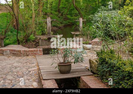 Eine hölzerne Terrasse und Brücke im Wald, überquert einen kleinen Fluss, umgeben von grünen Pflanzen, ootmarsum, Niederlande Stockfoto