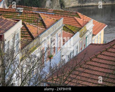 Nahaufnahme von roten Ziegeldächern und historischen Häusern mit vielen Fenstern in einer städtischen Umgebung, porto, portugal Stockfoto