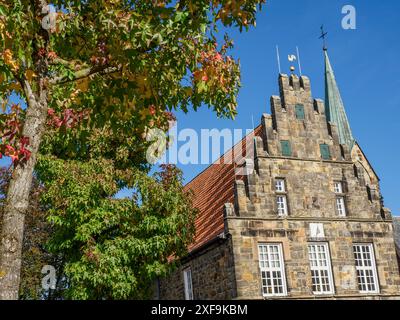 Historisches Gebäude mit rotem Ziegeldach und Kirche, Baum mit Herbstlaub, klarer Himmel, Schuettorf, Nordrhein-Westfalen, deutschland Stockfoto