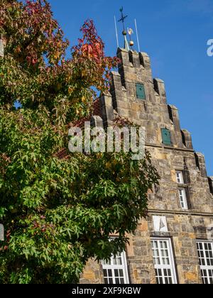 Historischer Kirchturm mit mehreren Giebeln, flankiert von einem Baum in Herbstfarben und unter klarem Himmel, schuettorf, Nordrhein-Westfalen, deutschland Stockfoto