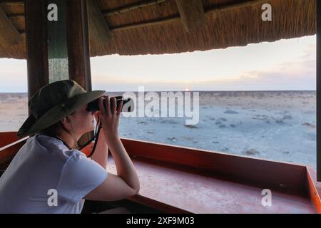 Wildtiersafari. Öko-Reise im Dschungel mit wilden Elefanten. Tropentourismus im wilden Leben der Elefanten. Roadtrip Dschungel, Öko-Safari. Elepha Stockfoto
