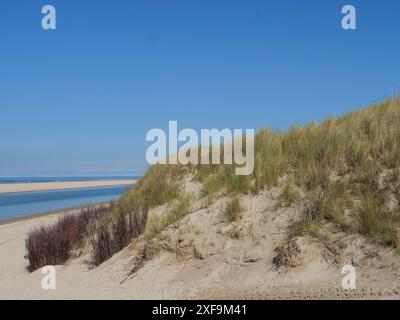 Sanddünen mit Gras bewachsen, direkt am Strand unter klarem Himmel mit Meerblick, Spiekeroog, Nordsee, deutschland Stockfoto