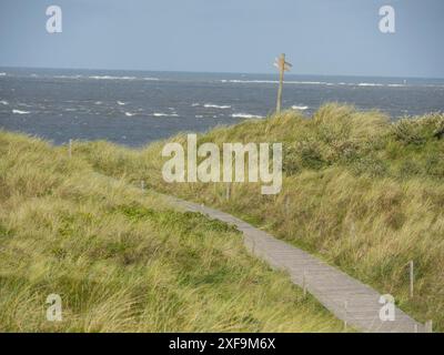 Schmaler Holzweg führt durch windige Dünenlandschaft zum Meer unter leicht bewölktem Himmel, Spiekeroog, Nordsee, deutschland Stockfoto