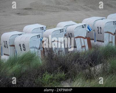 Weiße, nummerierte Liegestühle in der Nähe der Dünen in trockener Strandumgebung, Spiekeroog, Nordsee, deutschland Stockfoto