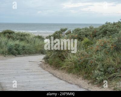 Holzweg führt durch Büsche zu einem Sandstrand mit Blick auf das Meer unter bewölktem Himmel, Spiekeroog, Nordsee, deutschland Stockfoto