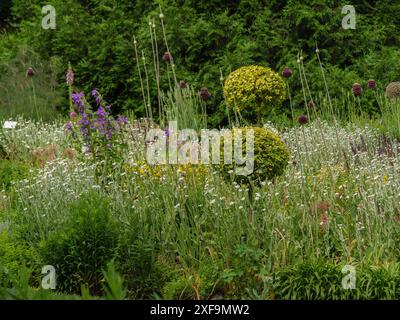 Ein üppiger Garten mit verschiedenen Blumen und Büschen und grüner Vegetation, Steinfurt, Nordrhein-Westfalen, Deutschland Stockfoto